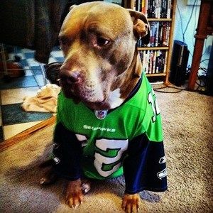 Meet your Posher, Bryan